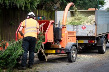 Wood chipper services in Cheboygan, Michigan by Peak Tree Experts