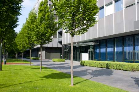 Commercial tree services by Peak Tree Experts