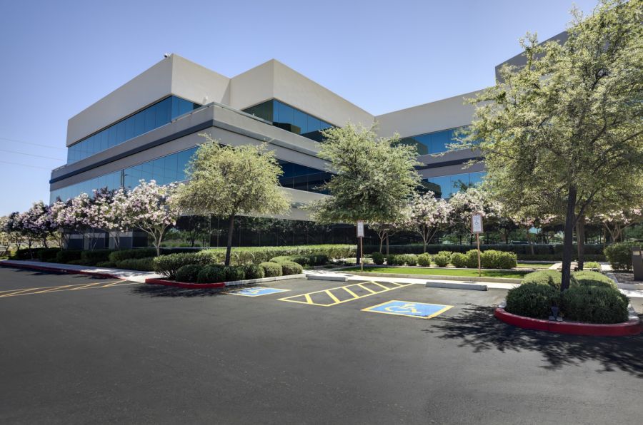 Commercial tree services by Peak Tree Experts