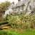 Cheboygan Emergency Tree Removal by Peak Tree Experts