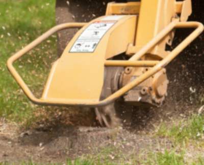 Stump grinding and removal in Petoskey, Michigan by Peak Tree Experts