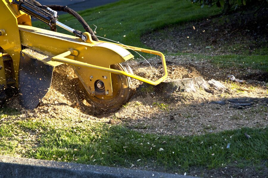 Stump Grinding & Stump Removal by Peak Tree Experts